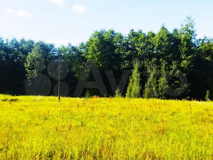 Участок 41 сот. (ИЖС)