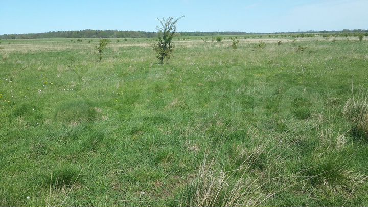 Участок 28 га (СНТ, ДНП)