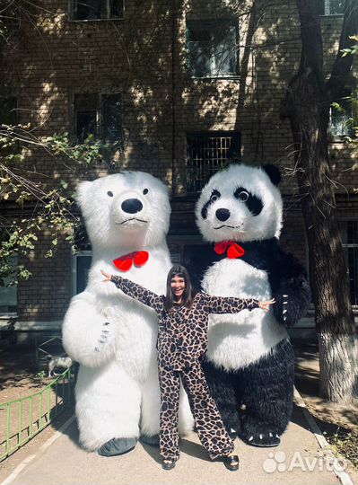 Белый мишка