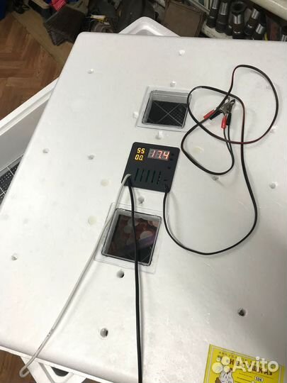 Инкубаторы несушка от завода