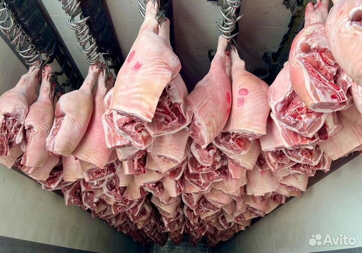 Свиной задок мясо