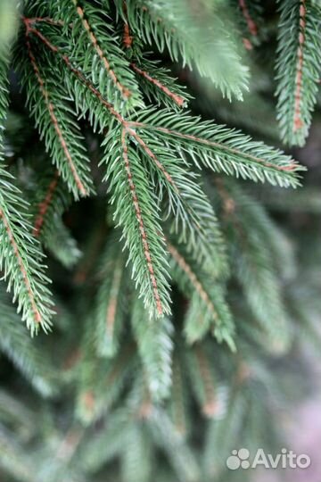 Ёлка искусственная литая 