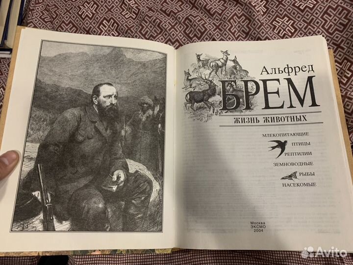 Энциклопедия жизнь животных