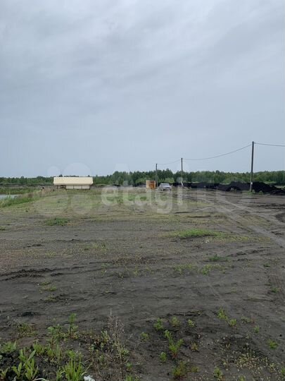 Участок 11,9 сот. (СНТ, ДНП)