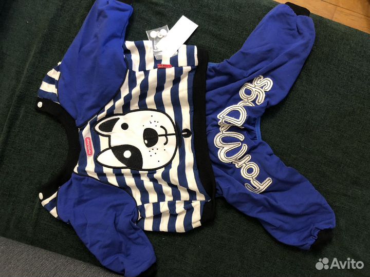 Одежда для собак