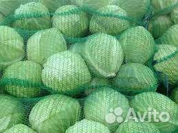 Капуста