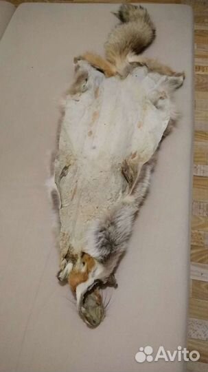 Воротник лисий