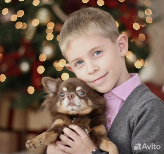 Детский фотограф. Новогдняя фотосессия