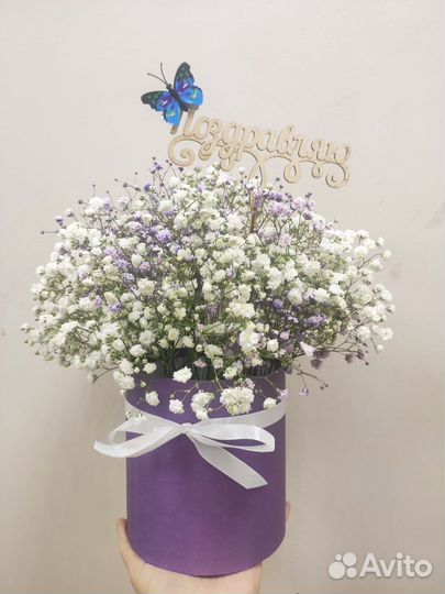 Коробка гипсофилы