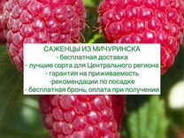 Закажи саженцы на осень с доставкой