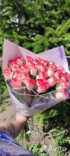 Розовые розы Купить розы в Омске