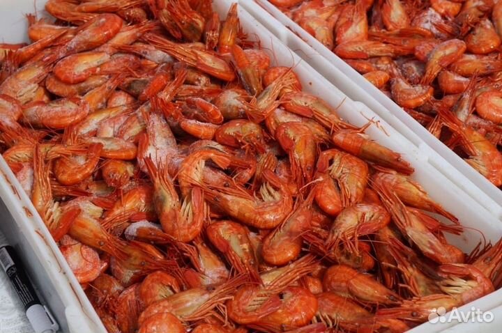 Вахта Калуга Упаковщики все включено