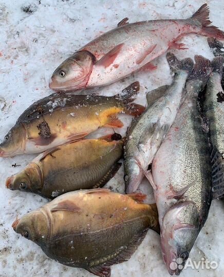 База отдыха с озером