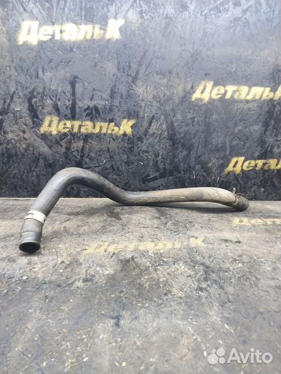 Патрубок радиатора нижний honda civic 6