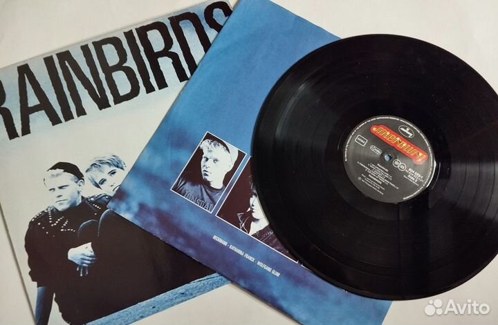 Винтажная виниловая пластинка LP Rainbirds (German