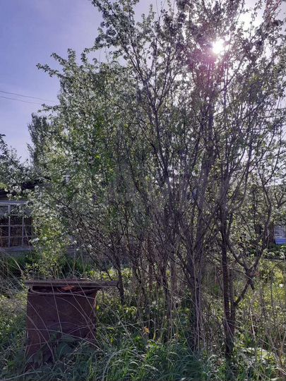 Участок 5,7 сот. (СНТ, ДНП)