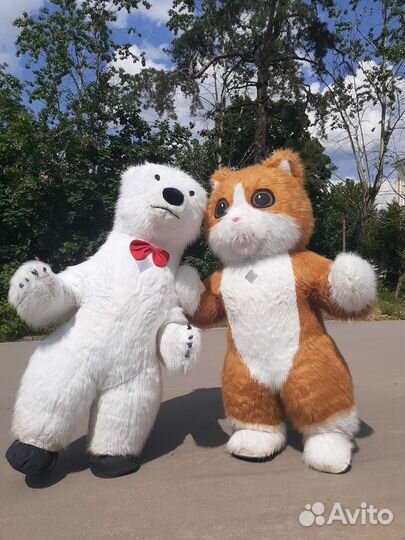 Медведь, Котик, Белый Мишка, Кот, Буба, Аниматоры