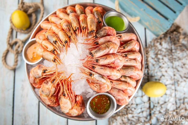 Северная креветка