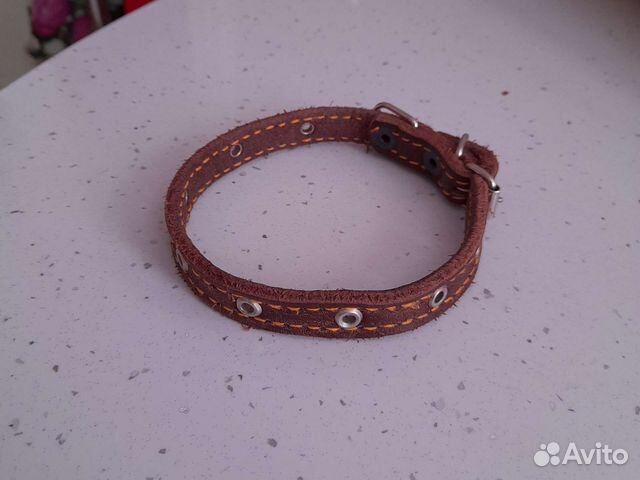 Ошейник для собак