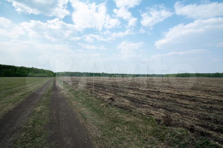 Участок 80 сот. (СНТ, ДНП)