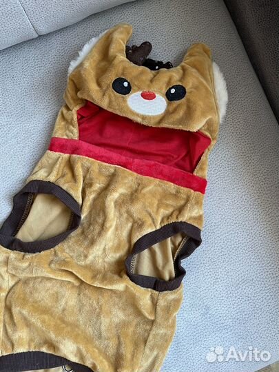 Одежда для собаки или кошки
