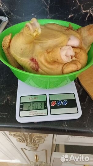 Куры бройлеры