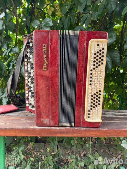 Баян Тула 202