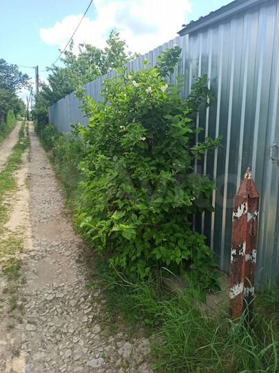 Дом 15 м² на участке 7 сот.