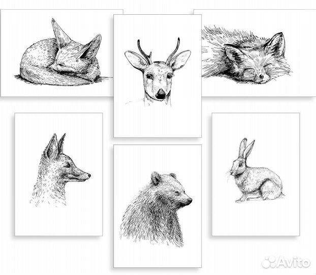 Открытки подарочные, на праздник, цветы, звери