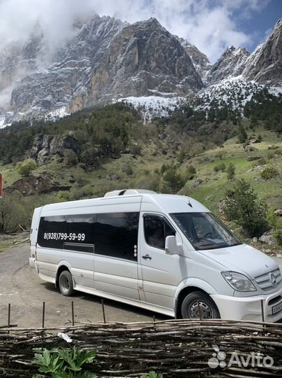 Поездки на Чёрное море Геленджик Анапа