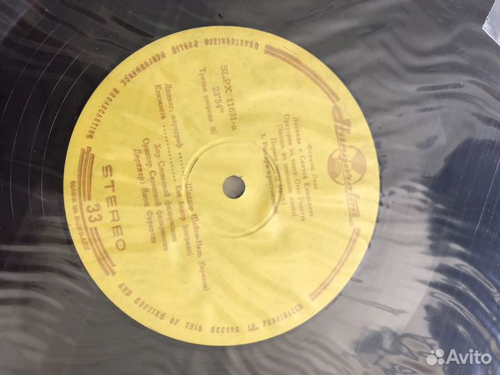 Виниловые пластинки Franz Liszt