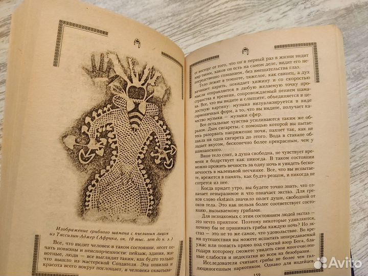 Книга Шаманизм, по ту сторону