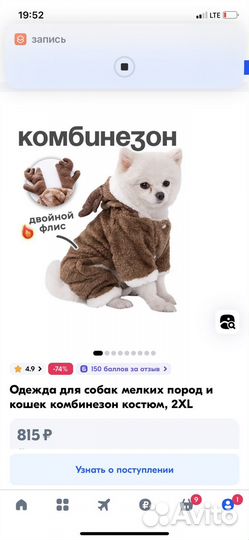 Одежда для средних собак