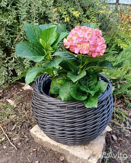 Кашпо из ротанга