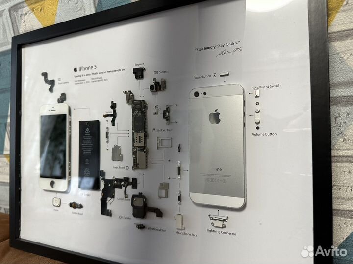 Картина из iPhone