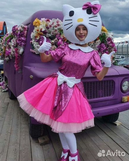 Профессиональные аниматоры