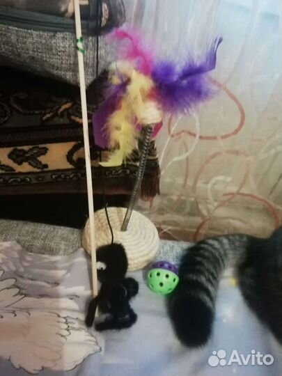 Игрушка - дразнилка - неваляшка для котика