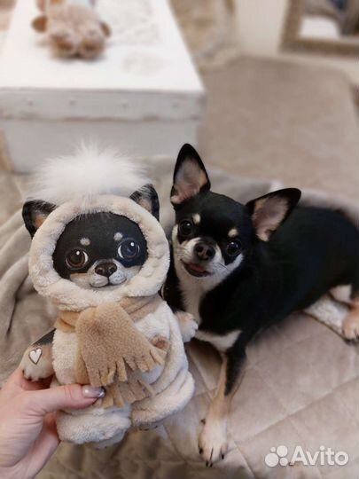 Игрушка по фото питомца собаки кошки