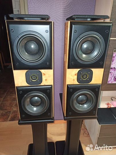 Акустическая система Acoustic Zen Adagio Junior