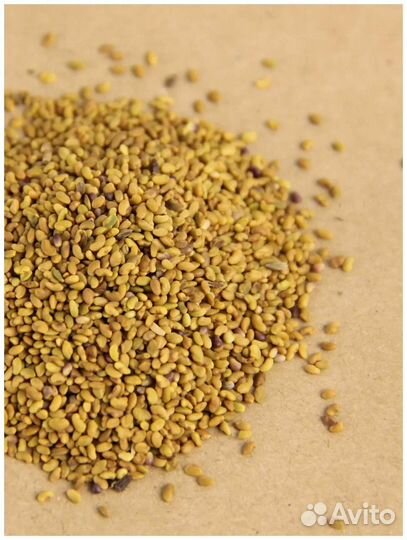 Семена люцерны (разные сорта)