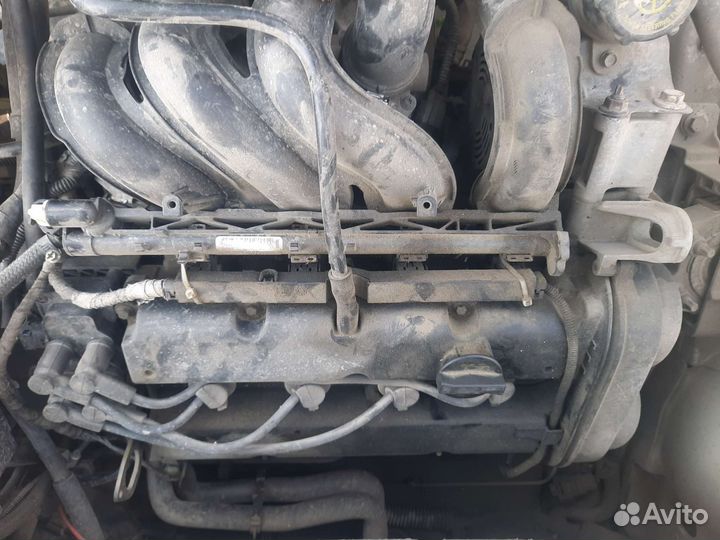 Двигатель ford focus 2 1,4
