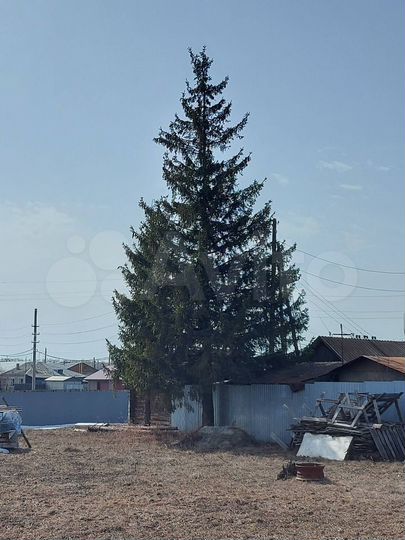 Участок 5 сот. (ИЖС)