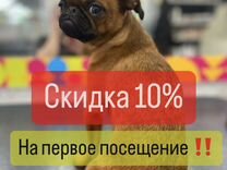 таблица местоимений в русском языке 4 класс. глагол изменение глаголов по временам. изменение глаголов по временам. что такое часть речи в русском языке 4 класс правило. как изменяется имя существительное.