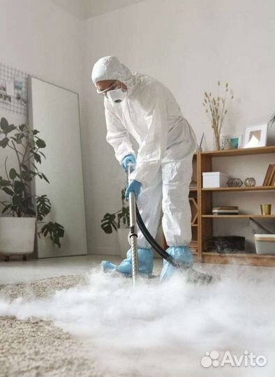 Дезинфекция клопы, тараканы,клещ, ос