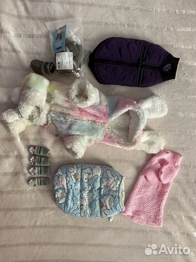 Одежда для собак мелких пород