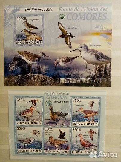 Почтовые марки зарубежных стран. Птицы