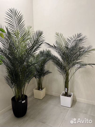 Искусственные растения пальмы новые