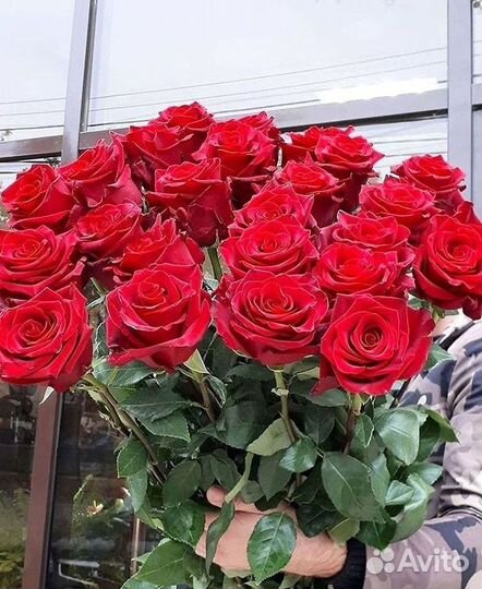 Розы высокие 150 160 170 180 190 200см