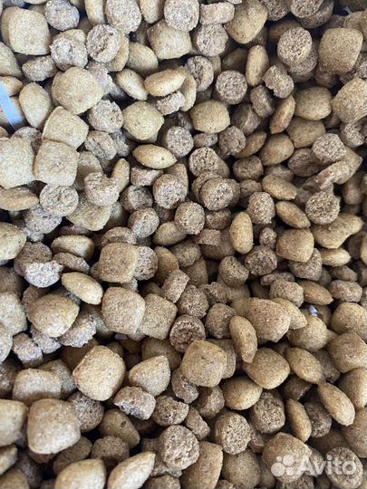 Корм с доставкой. для собак суперпремиум