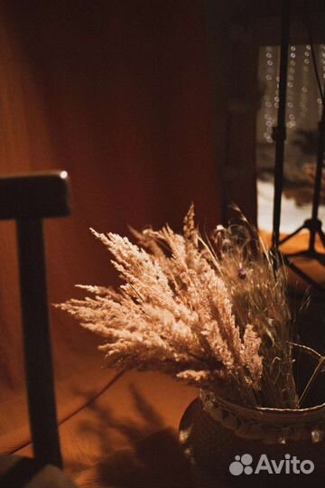 Аренда фотостудии Village Сергиев Посад